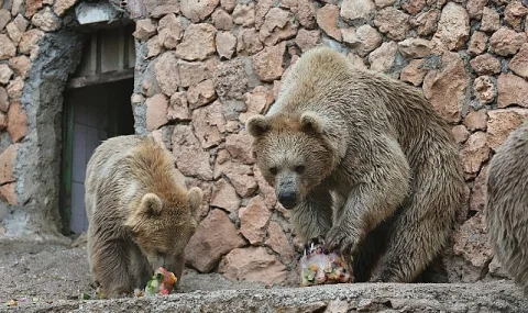 Antalya Doğal Yaşam Parkı'nda Hayvanlara Özel Serinletici Uygulamalar