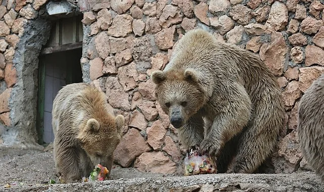 Antalya Doğal Yaşam Parkı'nda Hayvanlara Özel Serinletici Uygulamalar