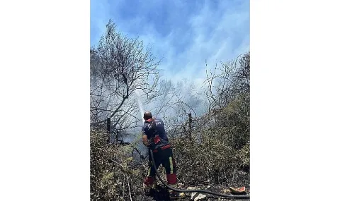 Aydın İtfaiyesi 3 Günde 176 Yangına Müdahale Etti, Çerçioğlu Uyardı