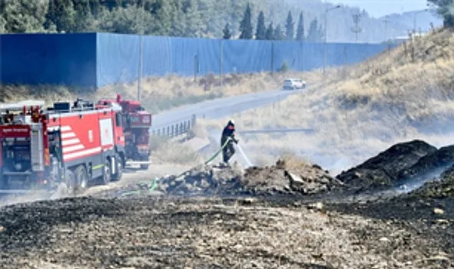 Bornova Yangınında İzmir İtfaiyesinden Bukalemun Kurtarma Hareketi