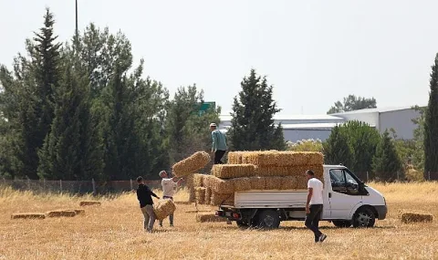Buca Belediyesi'nden Hayvancılık Yapan Üreticilere Saman Desteği