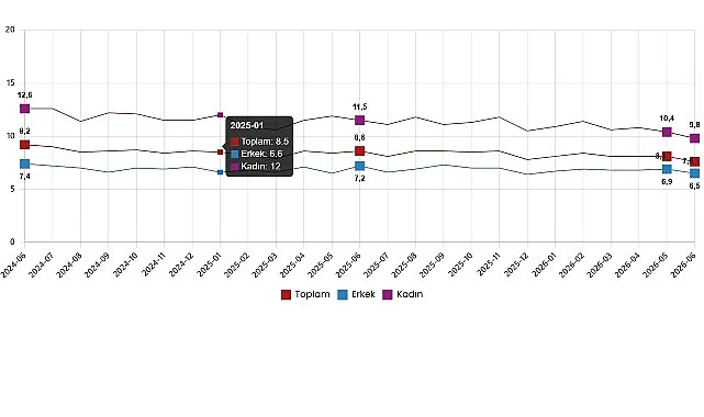 İşsizlik Oranı Haziran 2026'da %7,6'ya Geriledi, İstihdam Arttı