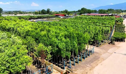 Kocaeli Büyükşehir Fidanlıkları Şehre Estetik ve Ekonomik Katkı Sağlıyor