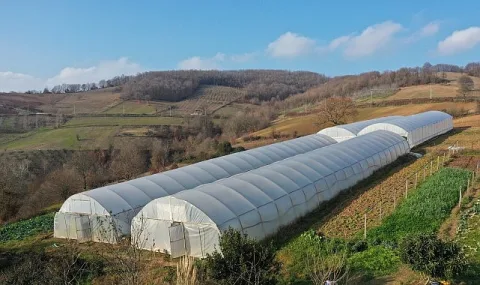 Kocaeli'de Tarıma Büyük Destek: 7 Yılda 98 Projeyle 1.5 Milyar Lira Yatırım