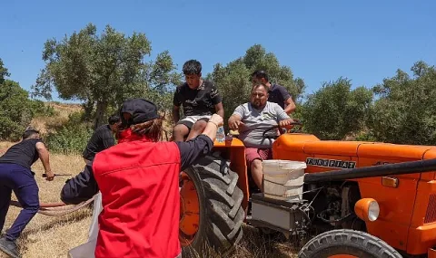 Akyeniköy Yeşiltepe'de Başlayan Makilik Yangın Kontrol Altına Alındı