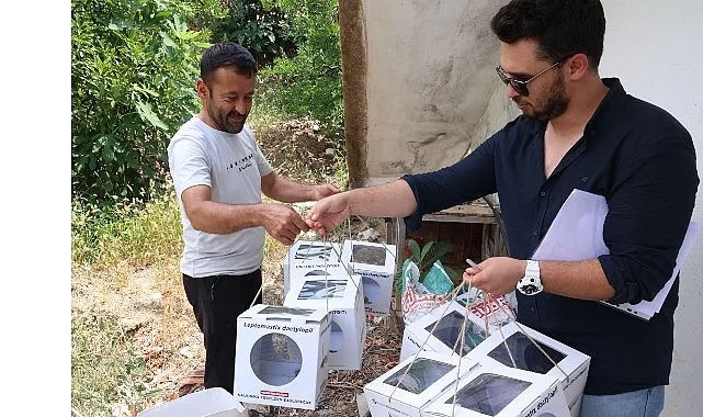 Antalya Büyükşehir 800 Dekar Tarım Alanına Faydalı Böcek Desteği Sağladı