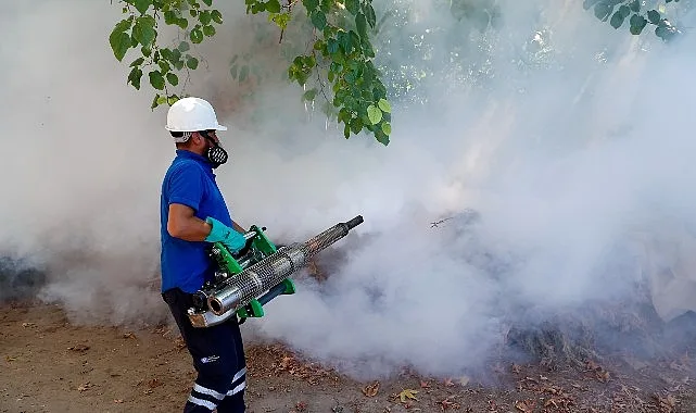 Antalya'da Vektörle Mücadele Çalışmaları Kesintisiz Sürüyor