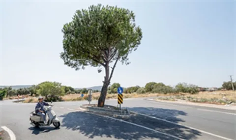 Bergama'da Ulaşım Altyapısı Güçleniyor: Yol Yenileme Çalışmaları Sürüyor