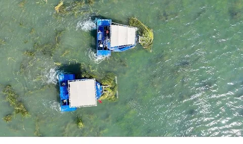 Boğaçayı'nda Doğal Yaşam İçin 'Caretta' ve 'Mavi Yengeç' Devrede