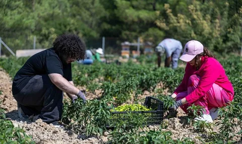 Bornova Kentsel Tarımda Vites Yükseltiyor: 30 Dönüm Yeni Bostan Yolda