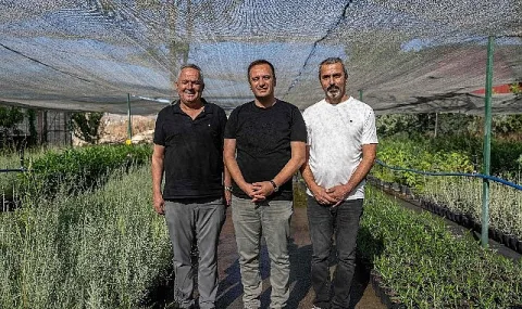 Bornova'ya 7 Dönümlük Lavanta Parkı Müjdesi: Mevlana Mahallesi Dönüşüyor
