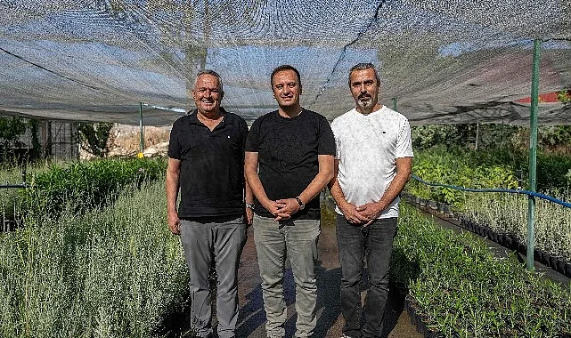 Bornova'ya 7 Dönümlük Lavanta Parkı Müjdesi: Mevlana Mahallesi Dönüşüyor