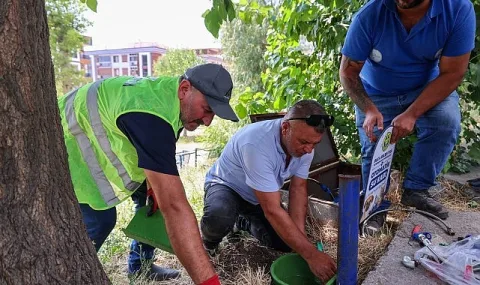Buca Belediyesi Aşırı Sıcaklarda Sokak Hayvanlarına Destek Oluyor