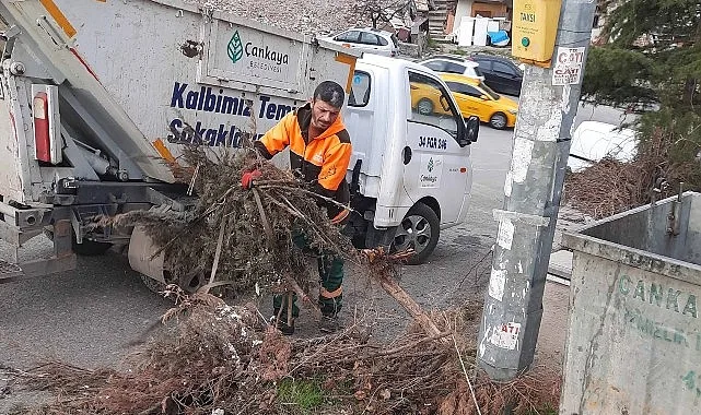 Çankaya Belediyesi'nden Hacimli Atık Uyarısı ve 8.687 TL Para Cezası
