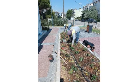 Didim Belediyesi Kendi Fidanlığında Yetiştirdiği Bitkilerle Kenti Güzelleştiriyor
