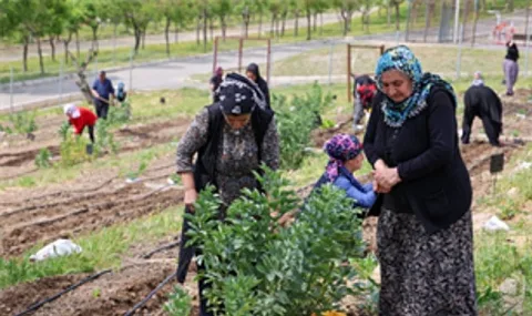 İzmir'de Mahalle Bostanları Projesi Büyüyor: 5. Alan Buca Kozağaç'ta