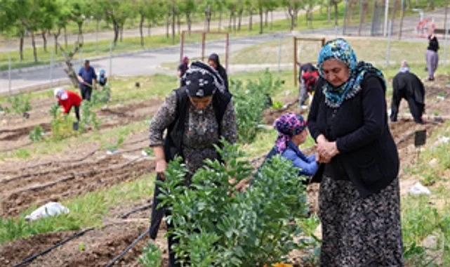 İzmir'de Mahalle Bostanları Projesi Büyüyor: 5. Alan Buca Kozağaç'ta