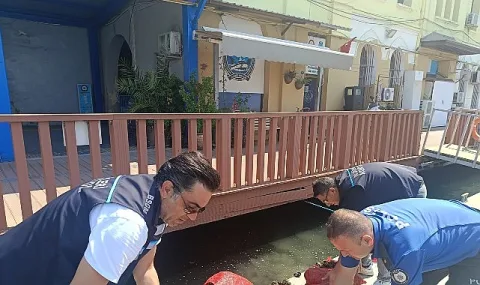 İzmir'de Yasa Dışı Kara Midye Avcılığına Karşı Ortak Denetim: 560 Kilo Mideye El Konuldu