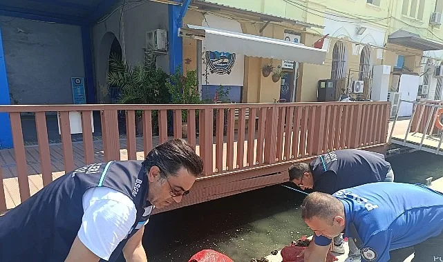İzmir'de Yasa Dışı Kara Midye Avcılığına Karşı Ortak Denetim: 560 Kilo Mideye El Konuldu