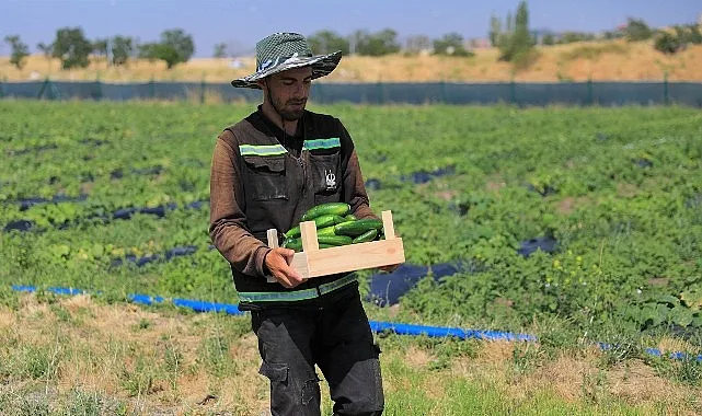 Keçiören Belediyesi Kendi Ürünlerini Konukevi Mutfaklarına Taşıyor
