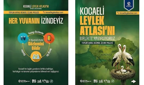 Kocaeli Leylek Atlası Projesiyle Kentin Biyoçeşitliliği Korunuyor