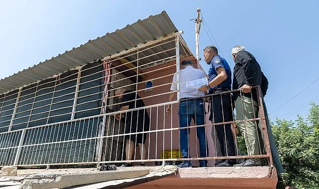 Mersin Yenişehir'de 'Çöp Ev' İhbarı Yerine 100 Kedi Bulundu