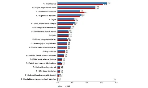 2025 Yılında Türkiye Ekonomisi %3,7 Büyüme Kaydetti