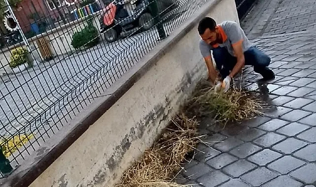 Burhaniye'de Yoğun Yağışlar Öncesi Mazgal Temizliği Hız Kesmeden Sürüyor