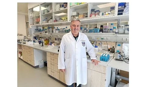 Damar Tıkanıklığında Yeni Ufuk: Toxoplasma Gondii Etkisi İnceleniyor