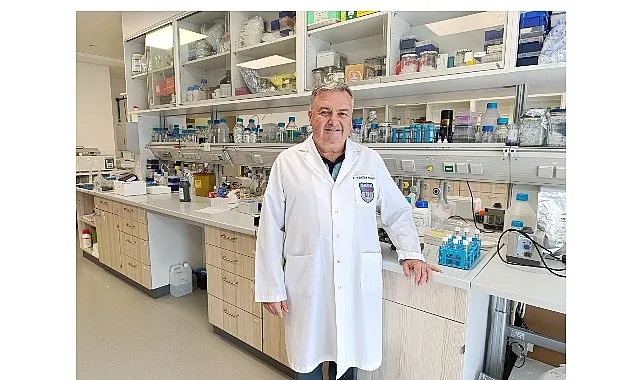 Damar Tıkanıklığında Yeni Ufuk: Toxoplasma Gondii Etkisi İnceleniyor