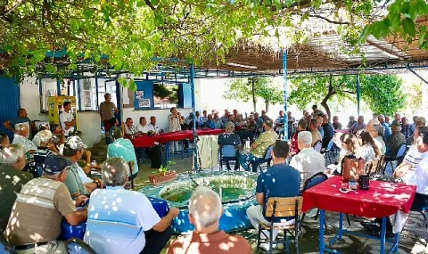 Didim'de Zeytin Üreticilerine Doğrudan Satış İmkanı: Yeni Pazar Kuruluyor