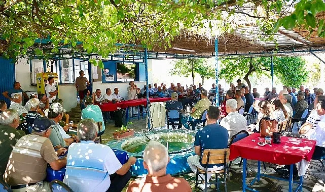 Didim'de Zeytin Üreticilerine Doğrudan Satış İmkanı: Yeni Pazar Kuruluyor