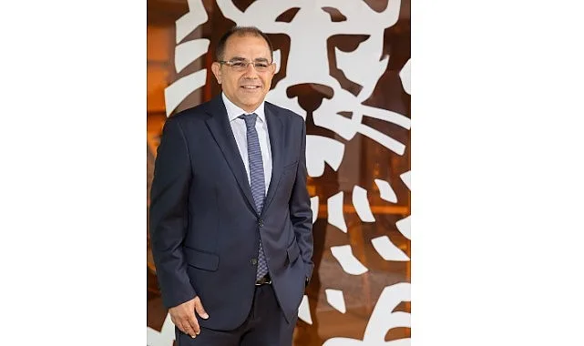 Gökçe Çakıt, ING Türkiye'de Mali Kontrol ve Hazine Genel Müdür Yardımcısı Oldu