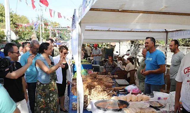 Gökçealan Osmancık Üzüm Şenliği 20 Eylül'de Renkli Etkinliklerle Kutlanacak