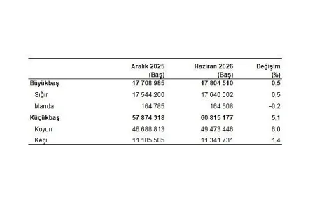 Haziran 2026 Hayvancılık İstatistikleri: Büyükbaş ve Küçükbaş Sayıları Belirlendi