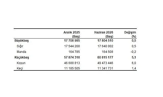 Haziran 2026 Hayvancılık İstatistikleri: Büyükbaş ve Küçükbaş Sayıları Belirlendi