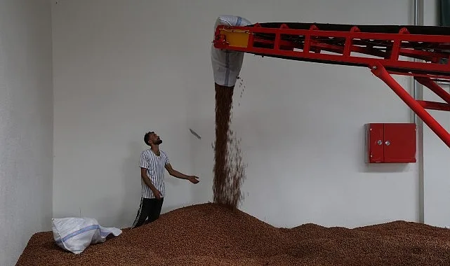 Kandıra Fındığı, Yeni Tarımsal Merkezle Güvence Altına Alındı