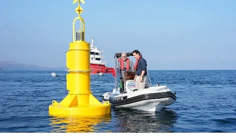 Mudanya Belediyesi'nden Tirilye Açıklarında Yıllık Bin Ton Midye Çiftliği