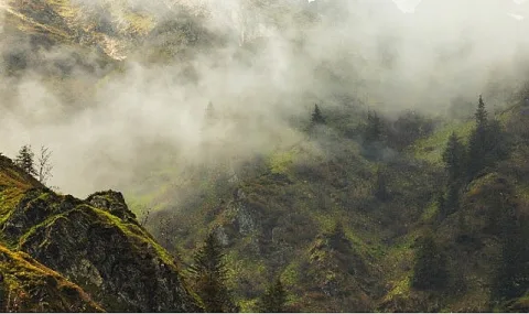 National Geographic WILD, 'Vahşi Karpatlar'ı 26 Eylül'de İzleyiciyle Buluşturuyor