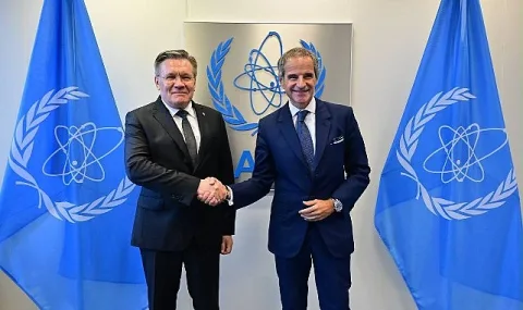 Rosatom Genel Müdürü Likhachev'den Zaporijya NGS Güvenliği Vurgusu