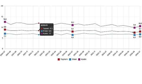 Temmuz 2026 İşgücü İstatistikleri: İşsizlik Yükseldi, İstihdam Azaldı