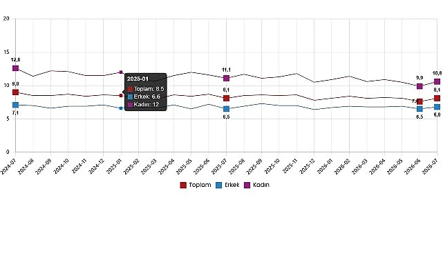 Temmuz 2026 İşgücü İstatistikleri: İşsizlik Yükseldi, İstihdam Azaldı