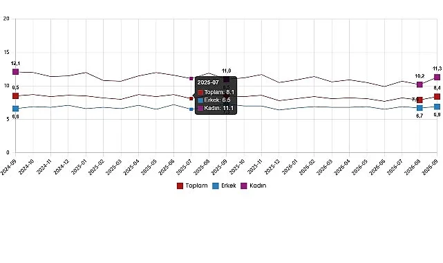 Eylül 2026 İşgücü Verileri: İşsizlik Oranı %8,4'e Yükseldi
