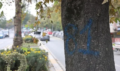 Eyüpsultan-Bayrampaşa Tramvay Hattı Çalışmalarında Hızlanma