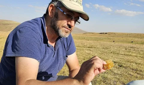 Kafkas Arısı Tehdit Altında: Karslı Arıcıdan Endişe Veren Uyarılar