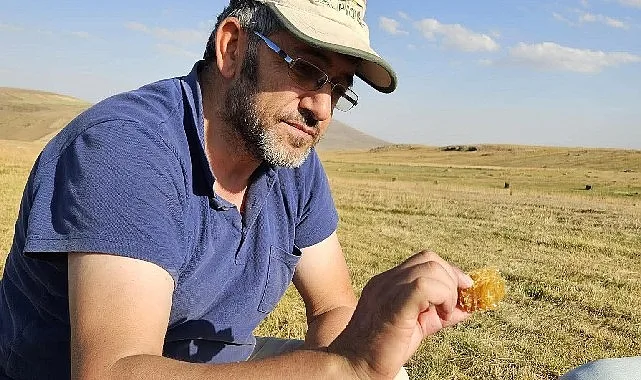 Kafkas Arısı Tehdit Altında: Karslı Arıcıdan Endişe Veren Uyarılar