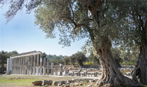 Teos Antik Kenti'nde 2 bin 200 yıllık meclis binası aydınlatıyor